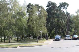 Апартаменты Апартаменты на Рокосcовского 1 Б Брест Апартаменты с 1 спальней-44